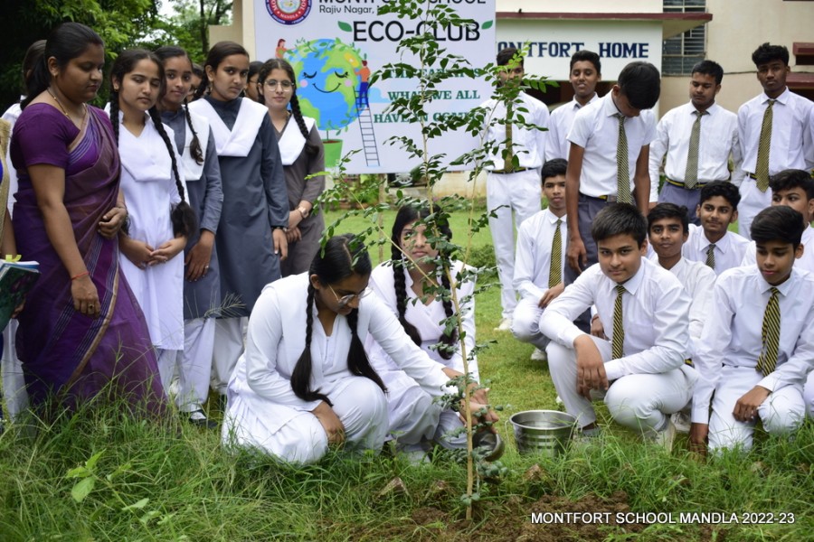 Montfort: Photo Gallery