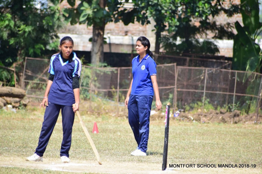 Montfort: Photo Gallery