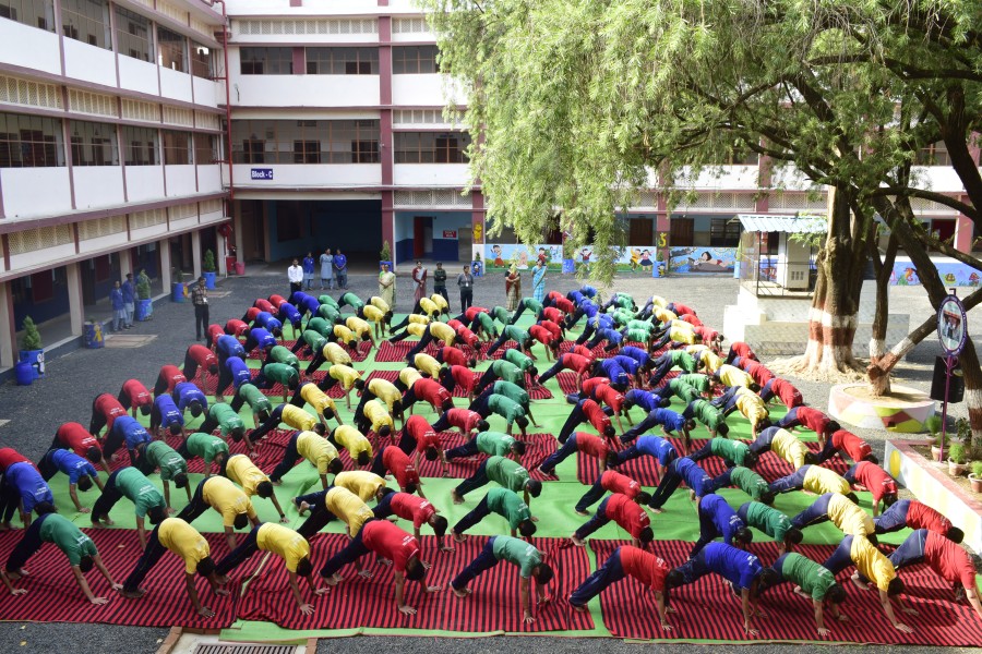 Montfort: Photo Gallery