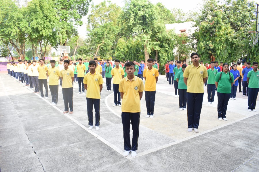 Montfort: Photo Gallery