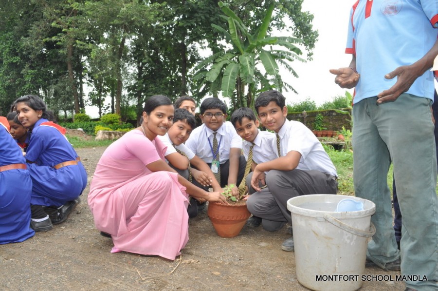 Montfort: Photo Gallery