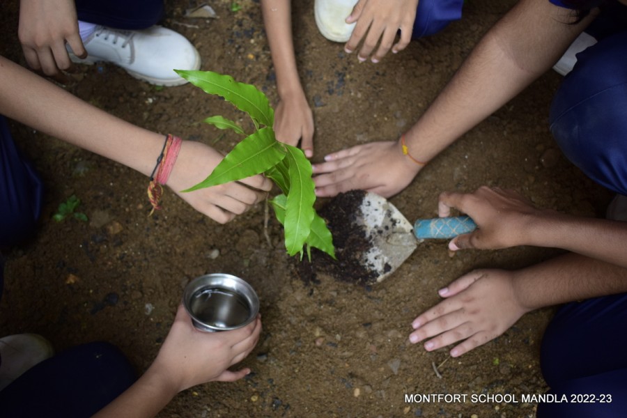 Montfort: Photo Gallery