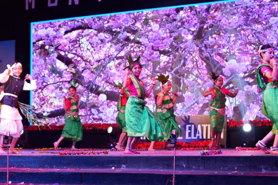 Montfort: Photo Gallery