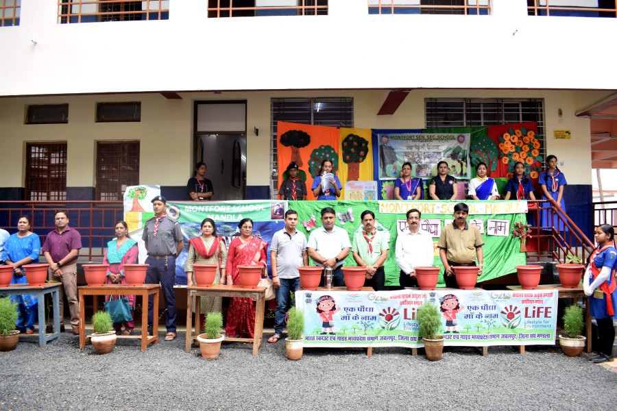 Montfort: Photo Gallery