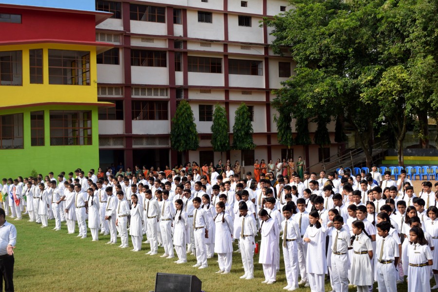 Montfort: Video Gallery