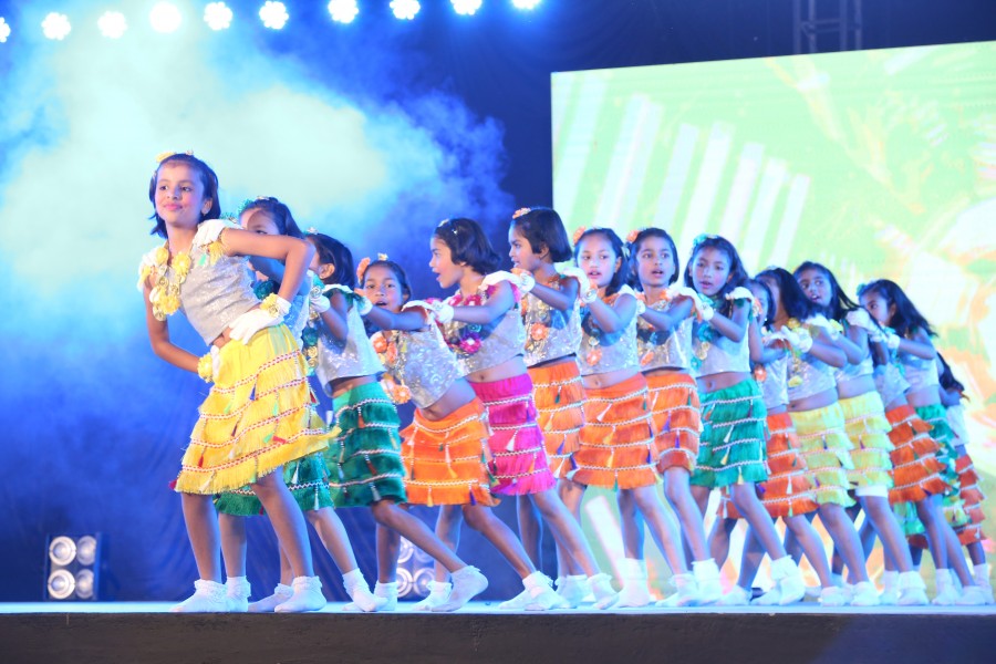 Montfort: Video Gallery